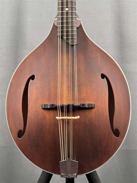 Octave Mandolin