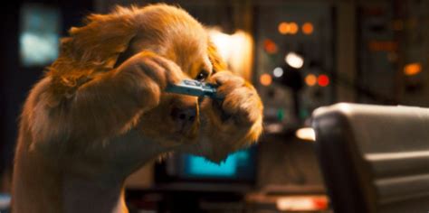 Фильмы про собак, список. Рецензии и отзывы | Pets movie, Dog pictures ...