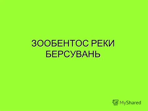 Презентация на тему: "ЗООБЕНТОС РЕКИ БЕРСУВАНЬ. 1. Выявить качественный ...
