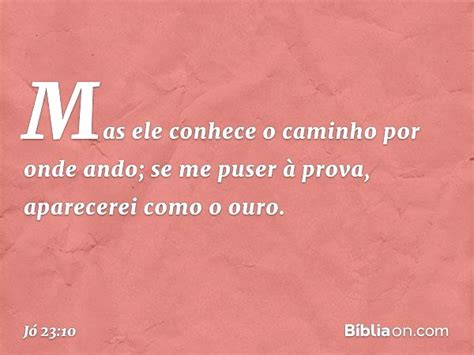 Joao 23 Versiculo - Jó 23:10 - Bíblia