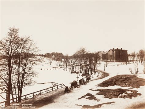 Winter Landscape in Helsinki — THE PHOTO RECORD