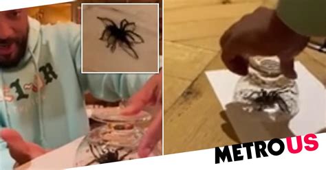 Will Smith tormented by huge tarantula in home after social media ...