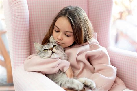 essential oils ok for cats 2