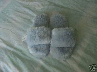 The Journey: Explaining A Slipper Fetish