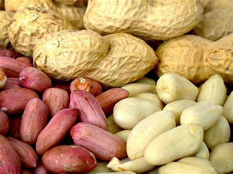 Земляные орехи арахис - польза и вред продукта
