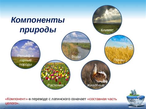 6 класс_Природные комплексы Земли
