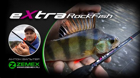 ZEMEX Extra Rock Fish