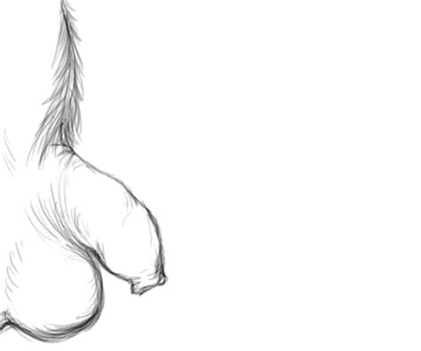 Rule 34 - anatomical anatomy animated balls close erection flaccid