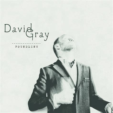 David Gray Music | Tunefind
