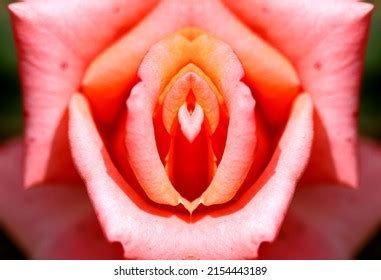 4,5 mila immagini, foto stock e illustrazioni esenti da diritti d ...