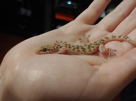 My room is a lot colder than the rest of the house. I don't know how he