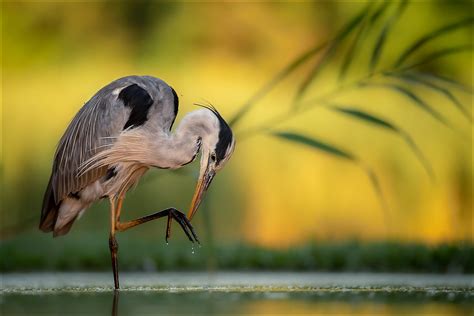 Galerie Bilder & Fotos - Best of | fotocommunity