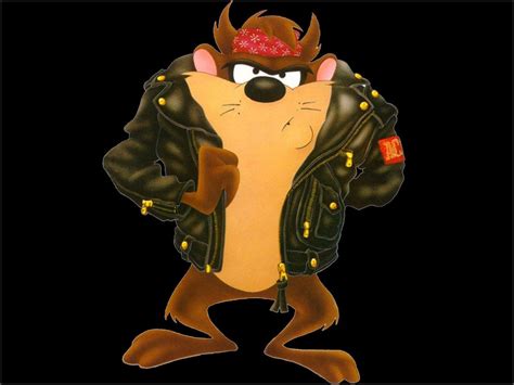 Tasmanian Devil Wallpapers - Wallpaper Cave