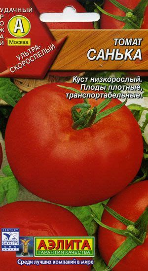 Томат Санька: характеристика и описание сорта помидор, отзывы и фото