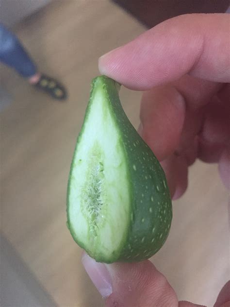 Plucked this from the neighbors tree - San Francisco : r/Whatisthis