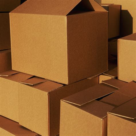 list  standard object type codes  dynamics   tin dog