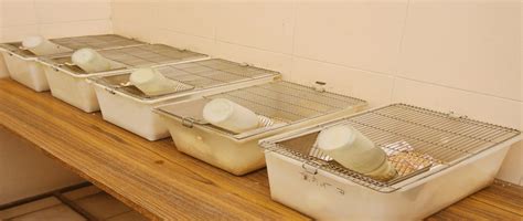 animal house facility