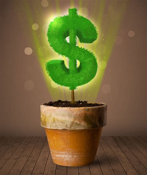 The Most Expensive Houseplant Ever Sold… – Garden Trivia