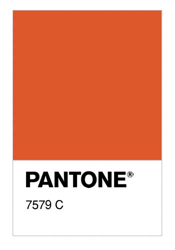 Colore PANTONE® 7579 C - Numerosamente.it