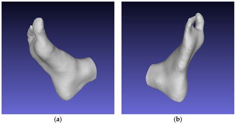 Reconstruction of a 3D Human Foot Shape Model Based on a Video Stream
