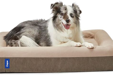 sleep   dream casper dog bed review  ultimate canine comfort