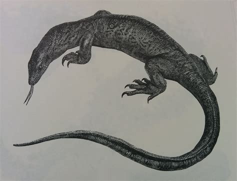 Monitor lizard, Sth Africa | Monitor lizard, Lizard tattoo, Lizard