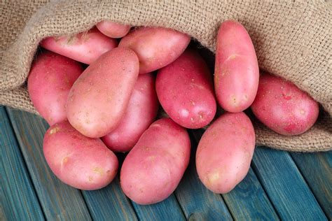 Семенной картофель «Розара»: Купить, Цены, Описание - КХ НИВА