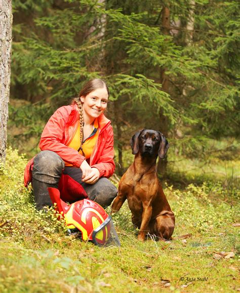 Nachsuchen – Jaegervereinigung Pegnitz e.V.