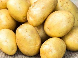Картофель: Ранние и ультраранние сорта, способы посадки