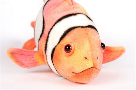 Clown Fish 32cmL - Hamac Trading