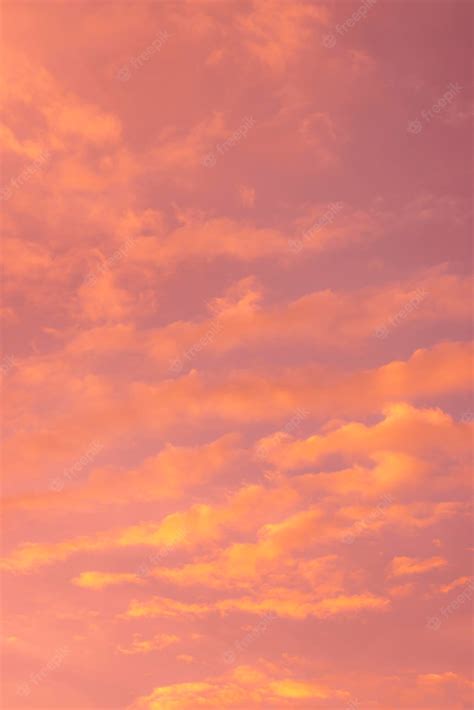 Premium Photo | Trend color background