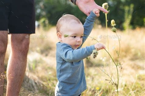 A little boy learns to walk. The first steps of the child. Happy ...