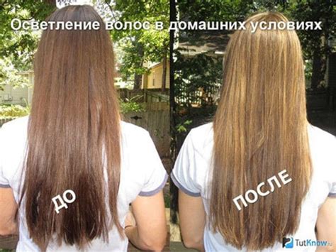 Как осветлить волосы на руках в домашних условиях без вреда