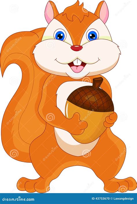 De Noot Van De Eekhoornholding Vector Illustratie - Illustration of ...