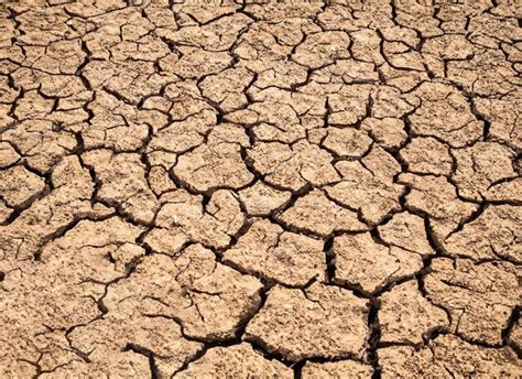 Premium Photo | Dry ground textures
