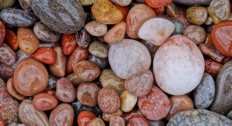 wet pebble stone supplier goodwill exports
