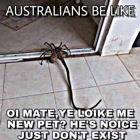oi mate meme  withekyurempr memedroid