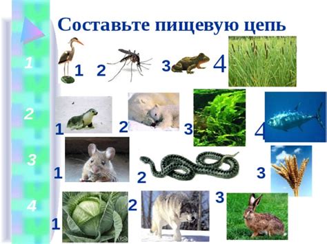 Презентация "Природные сообщества " биология 5 класс ФГОС