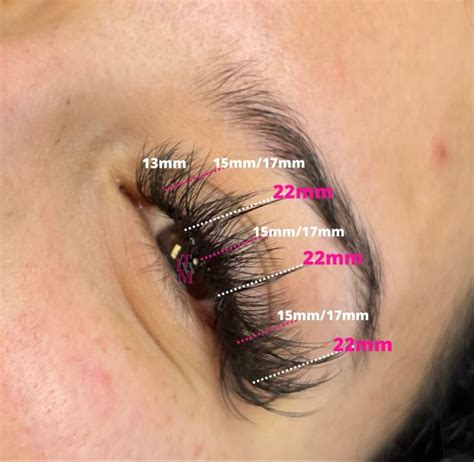 Volume Lash Extension Map | Volume eyelash extensions, Lash extensions ...