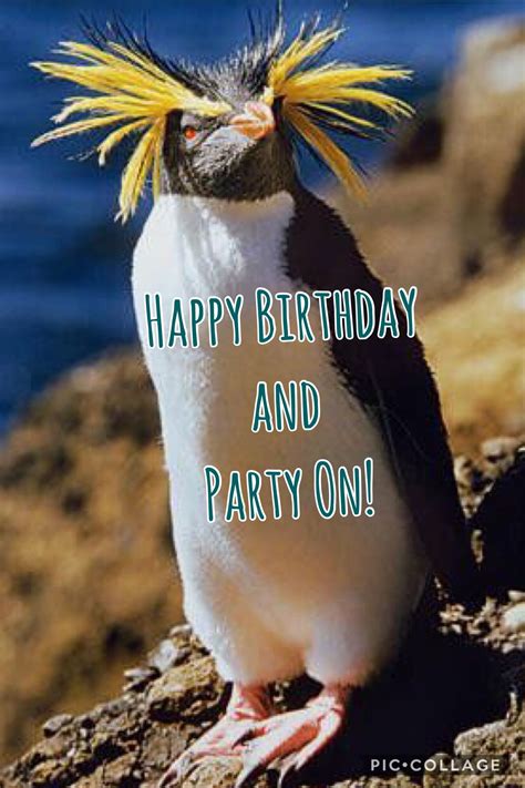 Pin by Kim on The Happy Birthday Board | Happy birthday funny, Happy