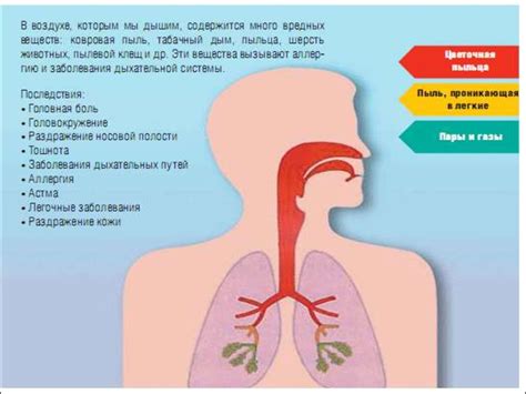 Загрязнение атмосферы - презентация онлайн