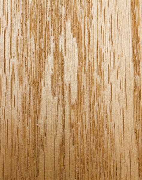 Description of Oak Wood | ehow