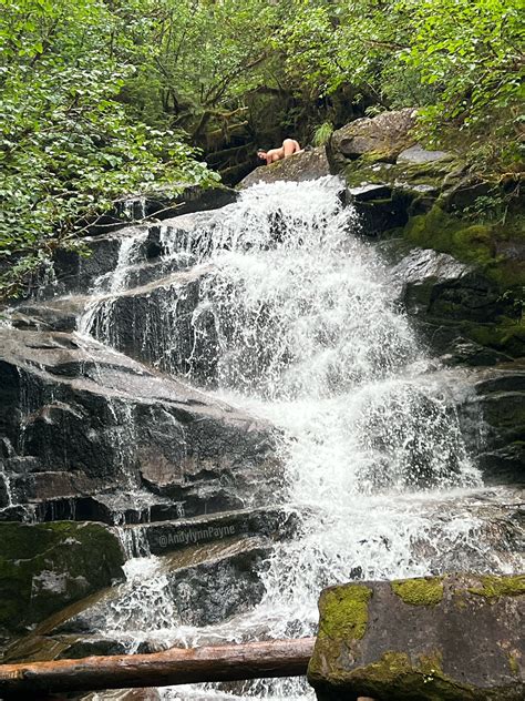 TW Pornstars - Andylynn Payne Θ Trans. Twitter. Wanna F up here? Zoom