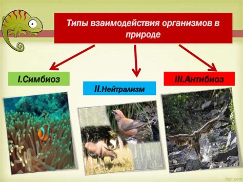 Взаимосвязи организмов и окружающей среды - презентация онлайн