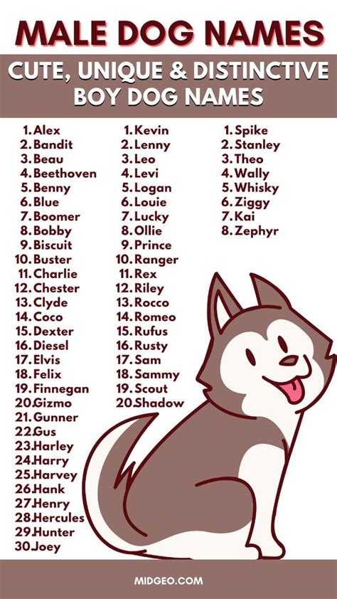 dog names ideas   dog names names cute pet names