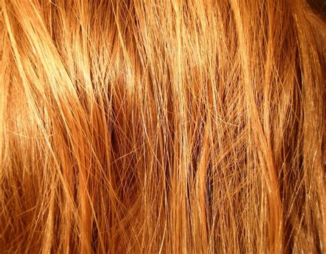 ten fun facts  hair ten fun facts