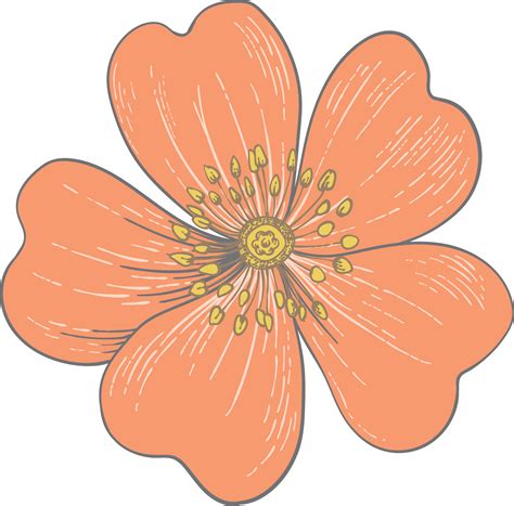 FAQ - Bloom Early Education Bullsbrook