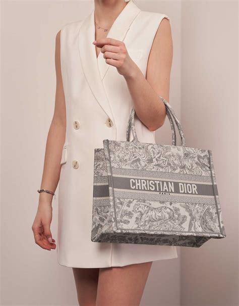 Dior Tote Bag Price In Paris Purchase Shop | blog.gualaru.com