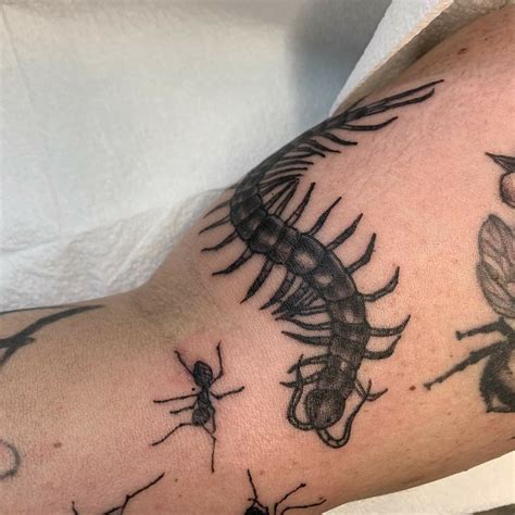 Tattoo artist: Chris Stans | Bug tattoo, Insect tattoo, Ant tattoo