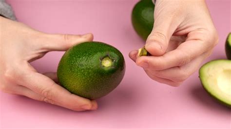 Bad Avocado